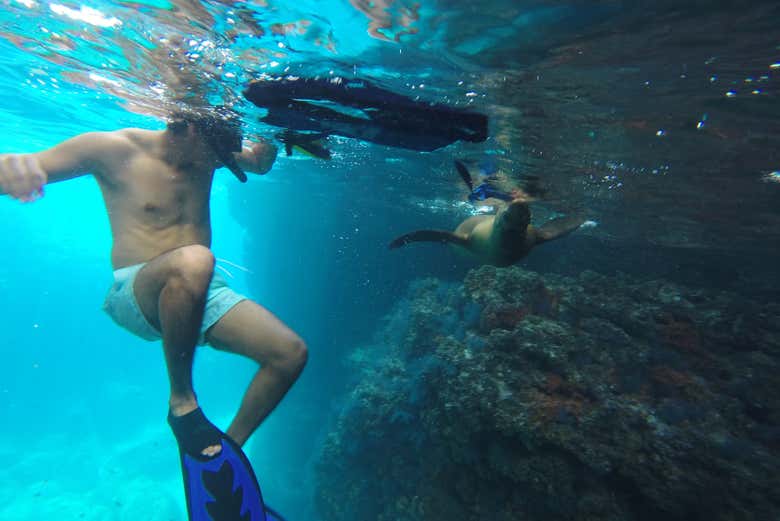 Practicando snorkel en Isla Espíritu Santo