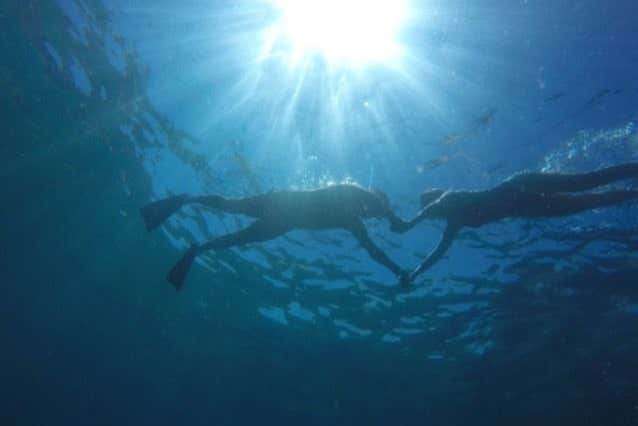 Take a dip in the water!