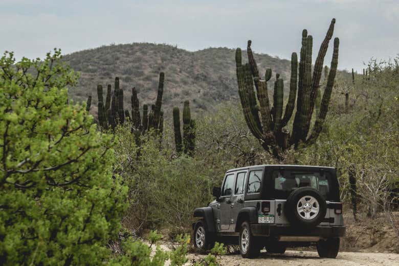 Jeep en Santiago