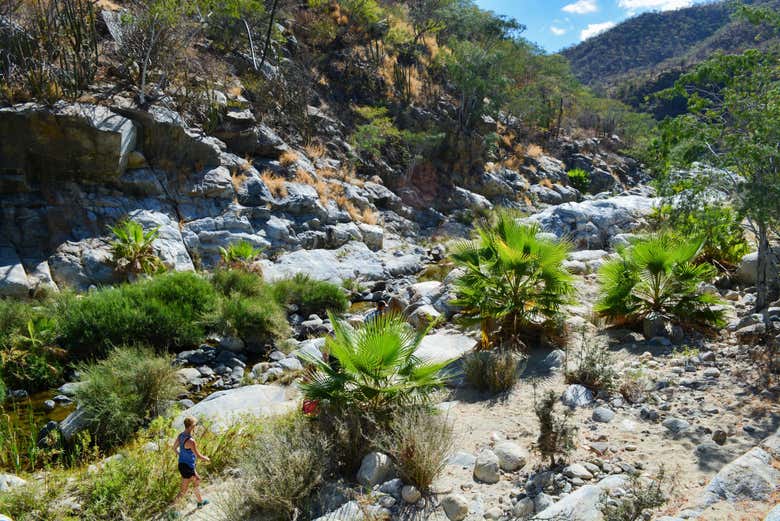 Caminata en el Cañón de la Zorra