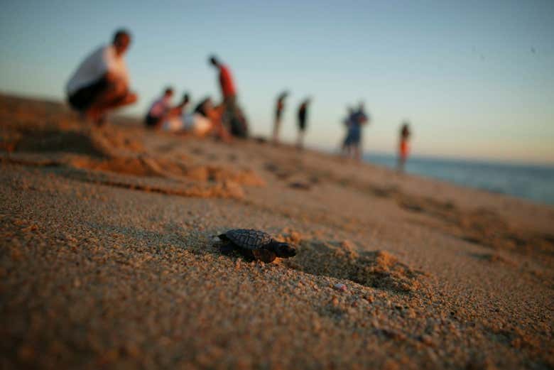 Disfrutando de una actividad que apoya al medio ambiente