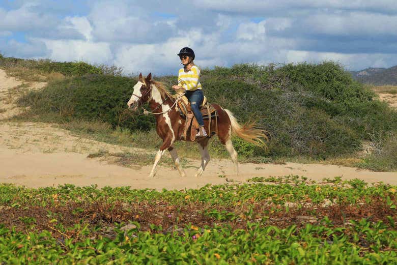 Desfrutando da natureza