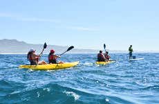 Kayak et snorkeling à Los Cabos