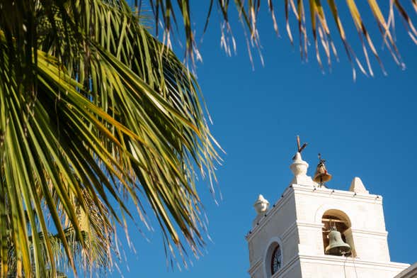 Excursión a La Paz, trópico de Cáncer y Todos Santos