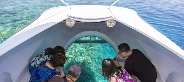 Paseo en barco con fondo de cristal