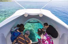 Glass Bottomed Boat Ride