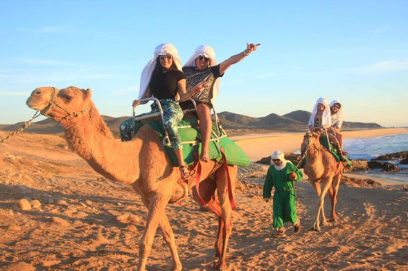Balade à dos de chameau dans le désert de Los Cabos