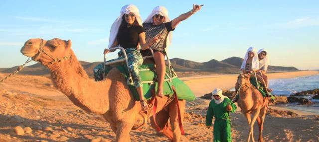 Passeio de camelo pelo deserto de Los Cabos