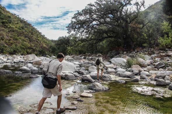 Fox Canyon Trek