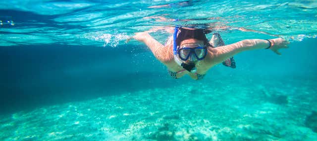 Snorkel em Los Cabos