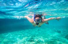 Snorkel en Los Cabos