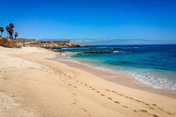 Tour delle spiagge di Los Cabos