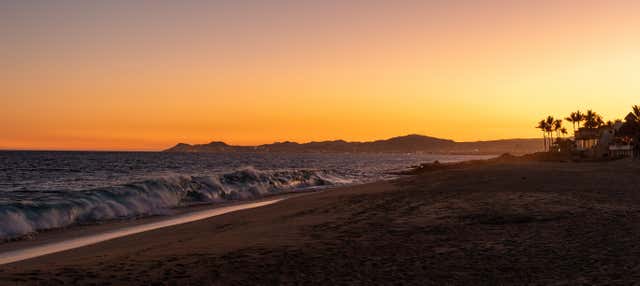 Visites guidées et free tours
