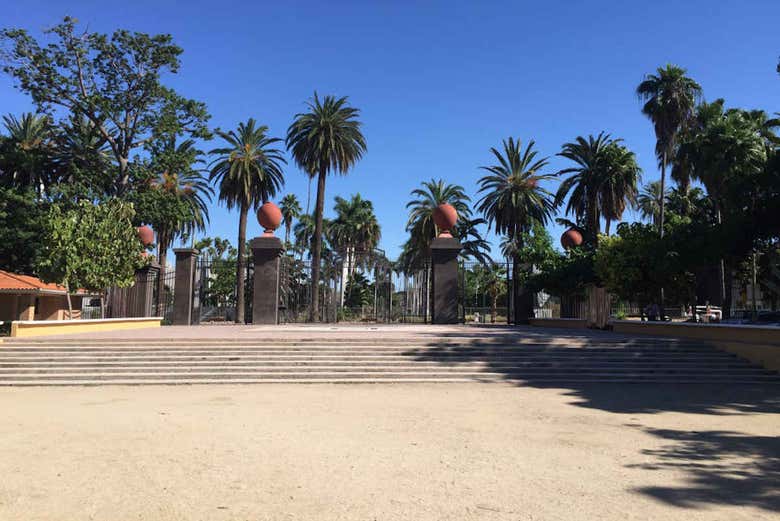 Enjoying the nature of Los Mochis
