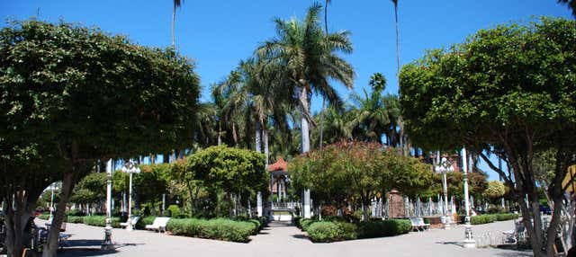 Los Mochis Tour & Topolobampo Bay Boat Ride