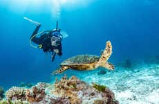 Mergulho em Mahahual