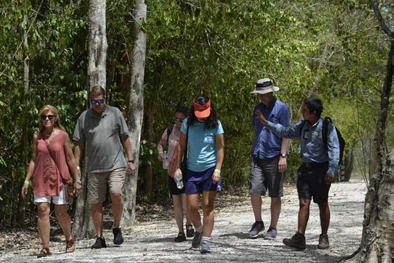 Guía acompañando a los excursionistas