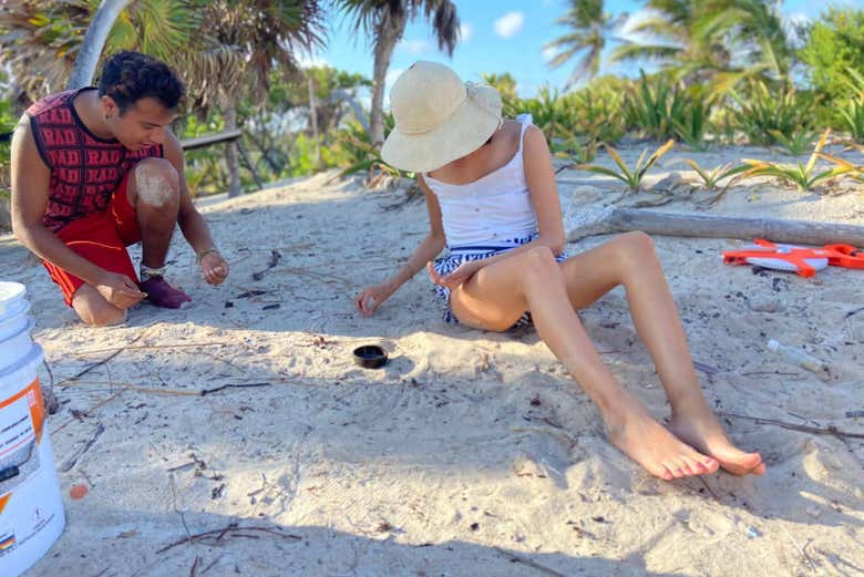 En busca de los nidos de tortuga