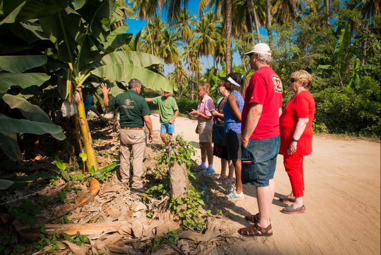 Escuchando las explicaciones del guía