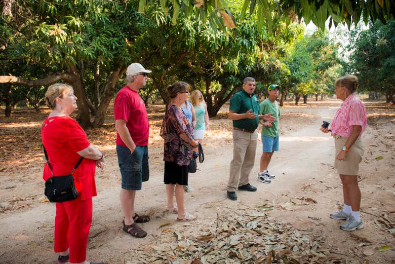 Tour de la fruta tropical
