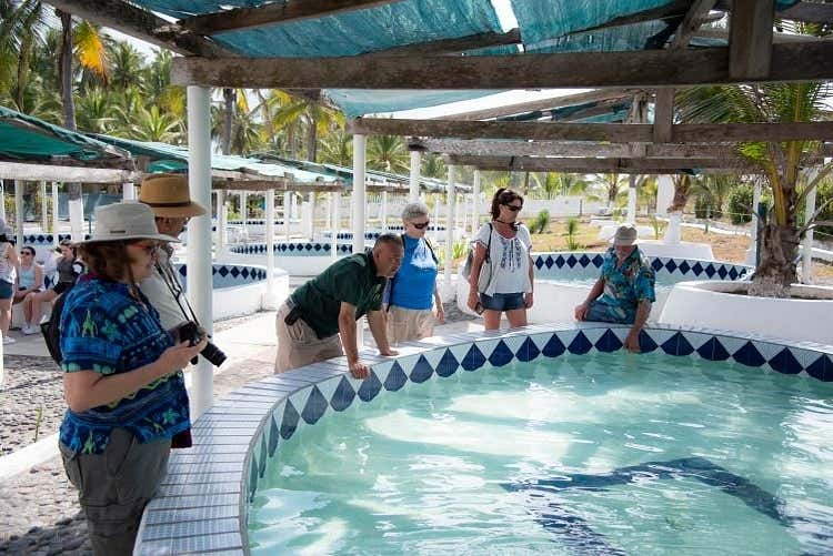 Tortugarium écologique de Cuyutlán