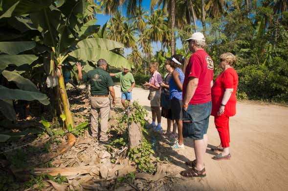 Tropical Fruit Tour