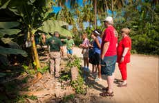 Tropical Fruit Tour