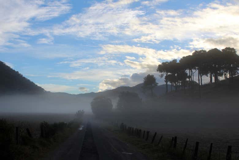 Alrededores de Mascota