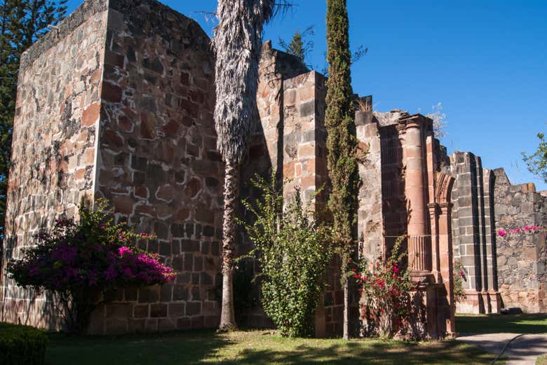 Vestigios de Mascota 