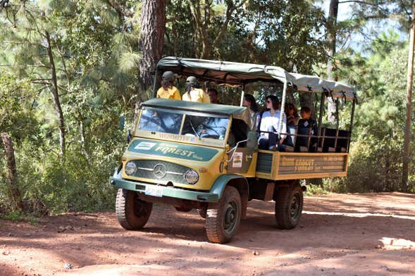 Excursión a la Sierra del Tigre