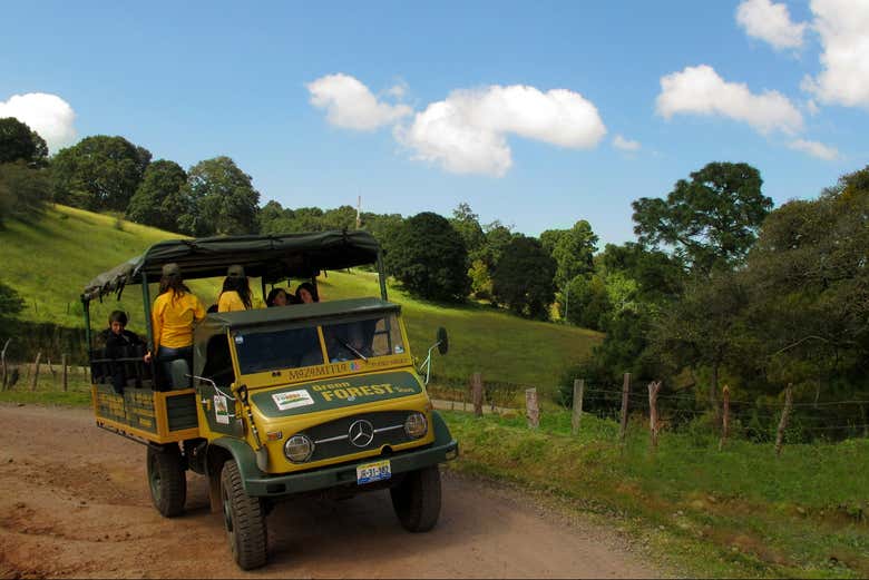 Camino que asciende hacia la Sierra del Tigre