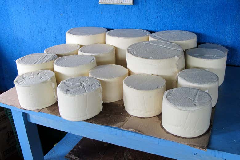 El queso de la Casa de los Gallos