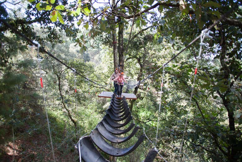 Pasando por uno de los puentes colgantes de la Sierra del Tigre