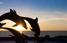 Dolphin Watching + Snorkeling in Mazatlan