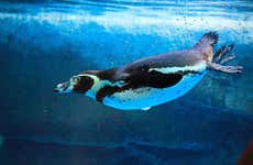 Entrada al Gran Acuario Mazatlán