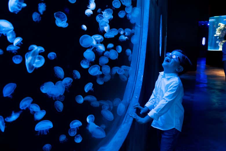 Una visita inolvidable al Gran Acuario Mazatlán