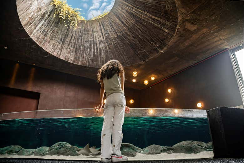 Explorando las salas del interior del Gran Acuario Mazatlán