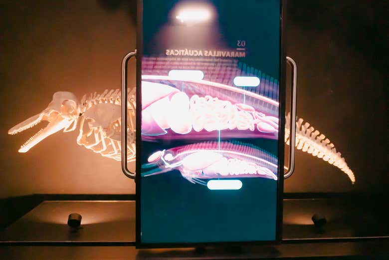 Un musée incontournable à Mazatlán