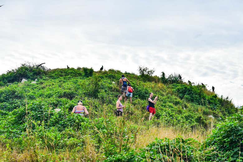 Deer Island Kayak & Snorkel Tour from Mazatlán