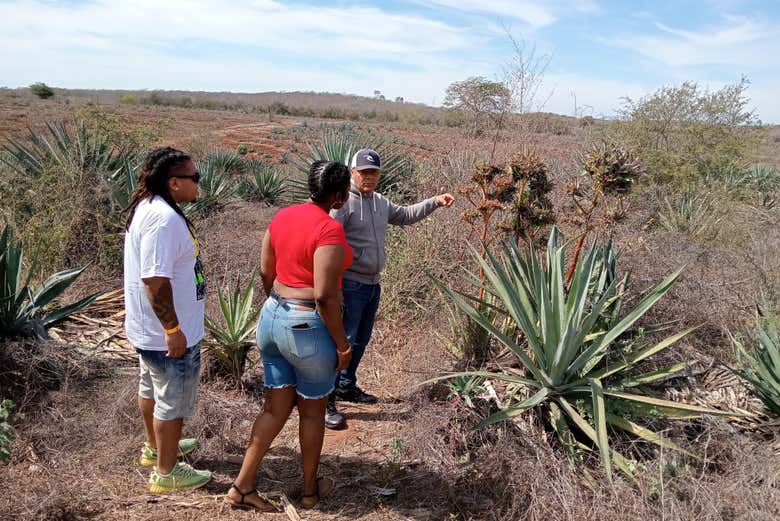 Aproveitando o tour do mezcal