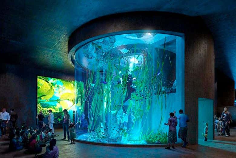 Explorando las salas del interior del Gran Acuario Mazatlán