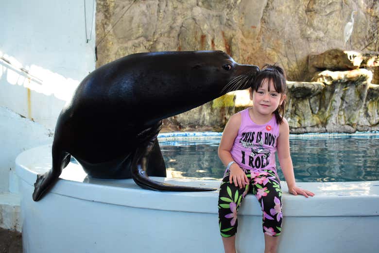Making new friends in Mazatlán Aquarium