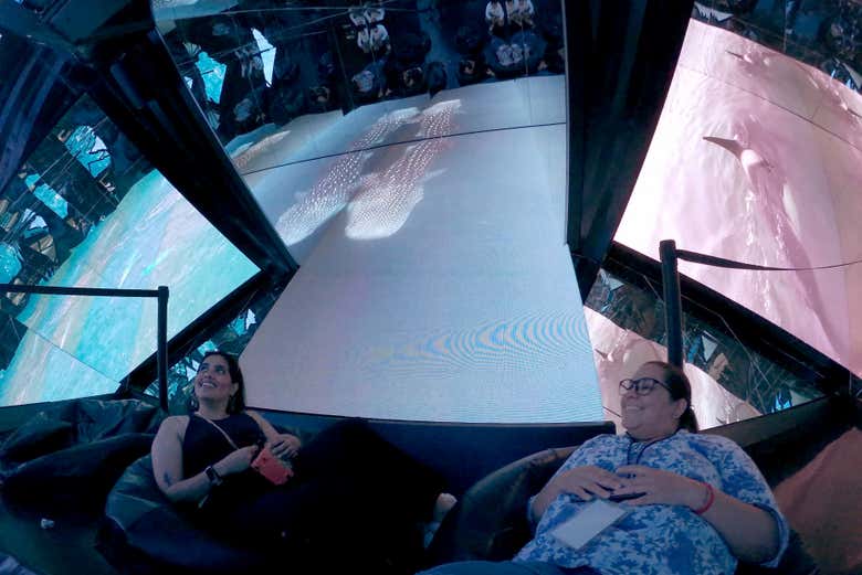 Salle Erizo du Musée national de la baleine