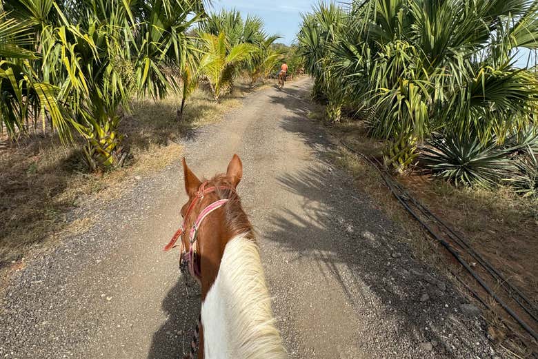 Explorando Mazatlán de uma maneira única