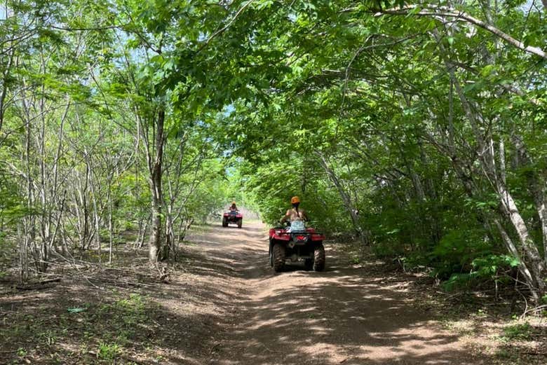¿Estáis listos para una jornada de naturaleza y adrenalina?