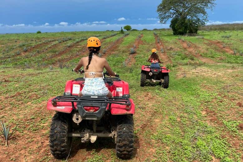 Conduciremos a través de diversos paisajes
