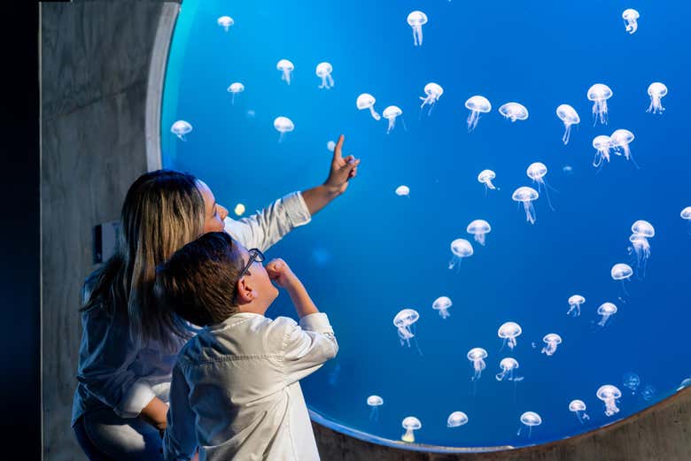 Una visita perfecta para hacer en familia