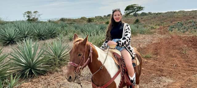Passeio a cavalo pela praia e selva de Mazatlán