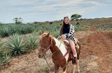 Passeggiata a cavallo alla spiaggia e foresta di Mazatlán