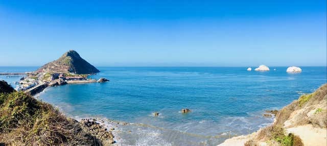 Balade en bateau à moteur dans la baie de Mazatlán + Billet pour le Musée de la Baleine